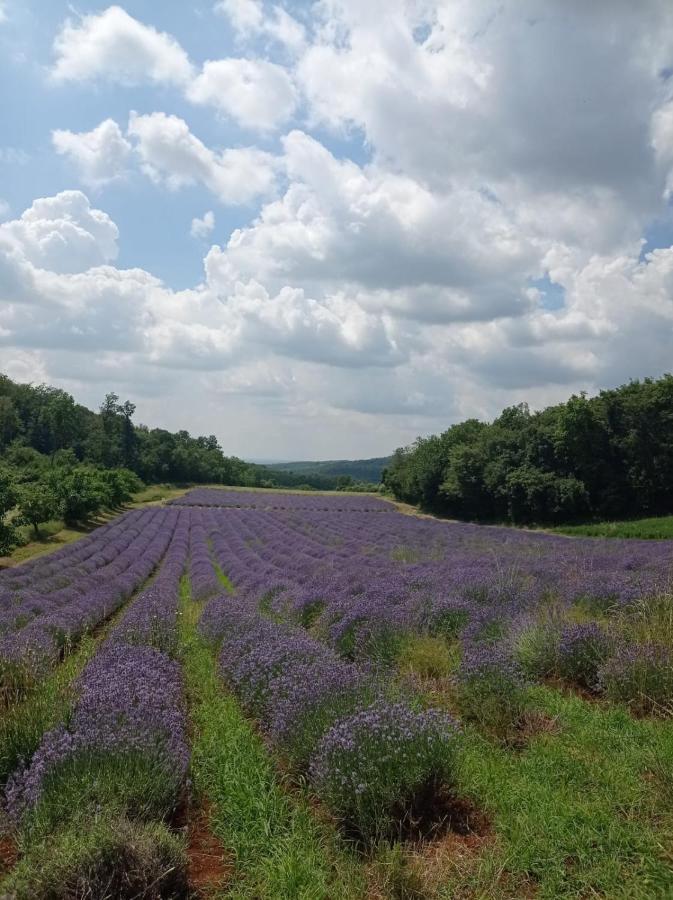 Alloggio La Perla, Quiete Ed Eleganza Con Vista Barbarano Vicentino Zewnętrze zdjęcie