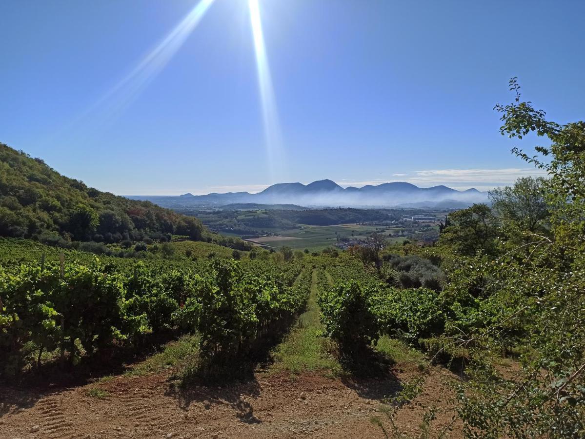 Alloggio La Perla, Quiete Ed Eleganza Con Vista Barbarano Vicentino Zewnętrze zdjęcie