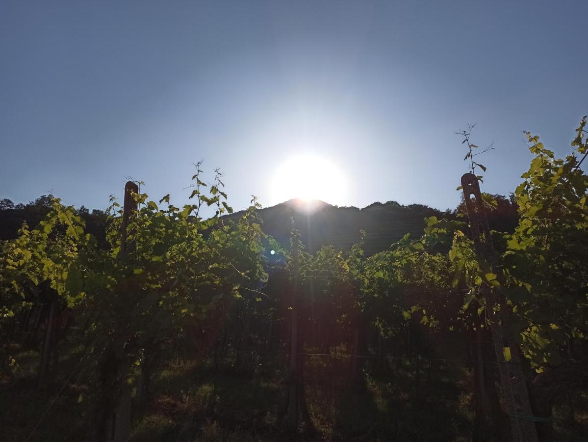 Alloggio La Perla, Quiete Ed Eleganza Con Vista Barbarano Vicentino Zewnętrze zdjęcie