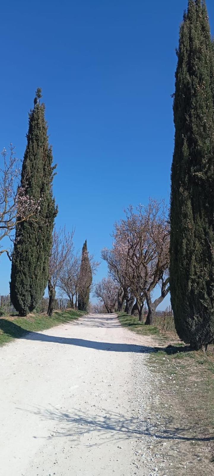 Alloggio La Perla, Quiete Ed Eleganza Con Vista Barbarano Vicentino Zewnętrze zdjęcie